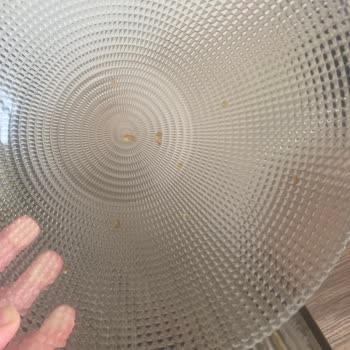 Samsung Bulaşık Makinesi İşlevsiz