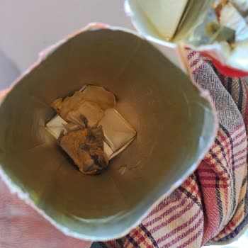 Bir Dimes Re Zil Li Gi!