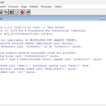 Monster Notebook Sıfır Bilgisayarda Aşırı Bulanık Ekran Sorunu