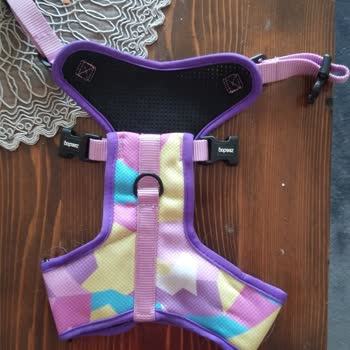 Wrong Size Amazon Prime Order! Unsafe Pet Harness