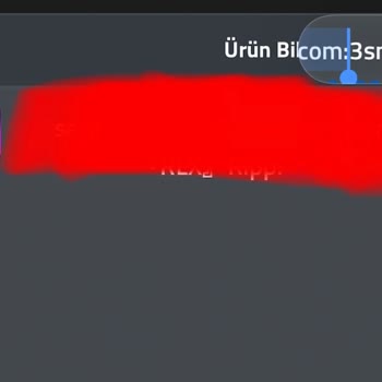 Oyun Hanem Banlı Hesap Verilmesi