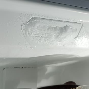 CNR Teknik Servis Buzdolabımı Mahvettiler Şikayetçiyim