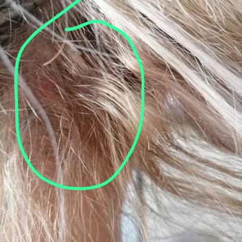 Vegas Şirinyer Kuaför Faciası Mikro Kaynak İzmir Instagram Adı Altında