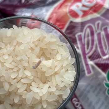 Reis Gıda Kelebekli Baldo Pirinç