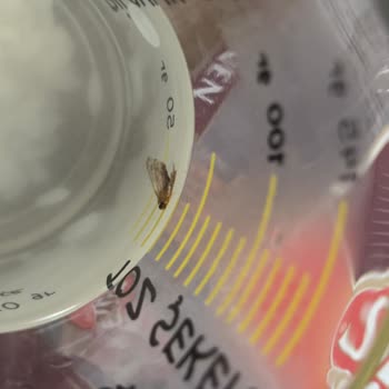 Reis Gıda Kelebekli Baldo Pirinç