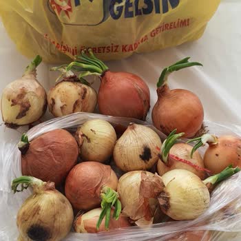 Şok Market Sarıyer Yeniköy Bağlar Mevkii Hukuku Hiçe Sayması.