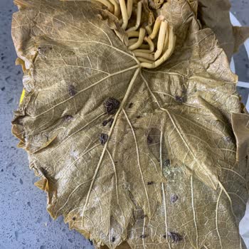 Kazova Yaprakta Böcek Kalıntısı Ya Da Dışkısı...