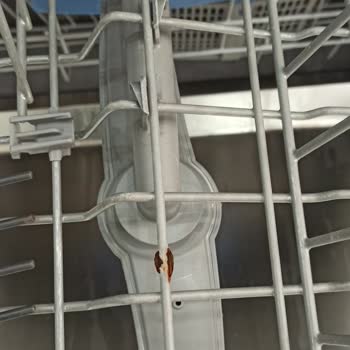 Bosch Bulaşık Makinesi Paslanma Problemi