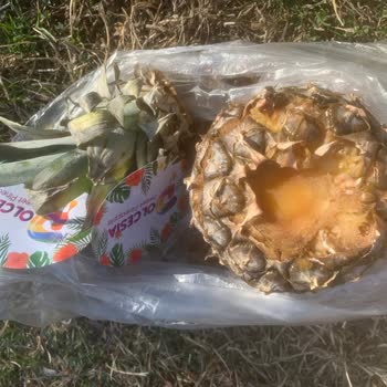 A101 Bozuk Ananas Satışı