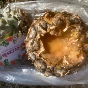 A101 Bozuk Ananas Satışı