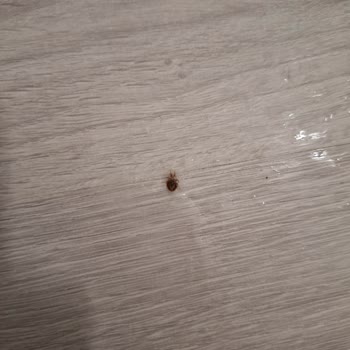 Villasepeti.com Villa Waterfall Tahtakurusu