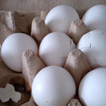 A101 Kapıda Hatalı Gıda