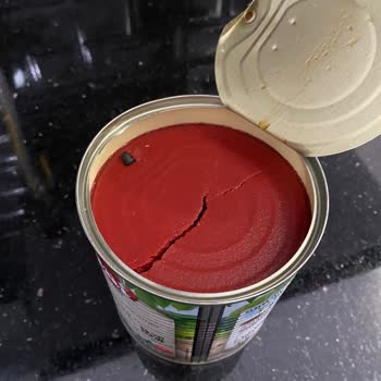 Tat Gıda Tat Salça Vida