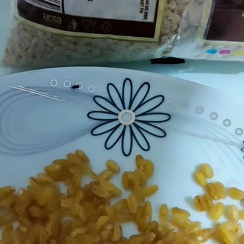 Duru Bakliyat Böcekli Ürün