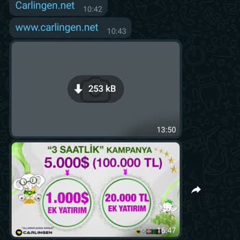 Carlingen Global Mağdur Edilen Müşteri Deneyimi