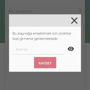 Paraf Yayınları MSÜ Denemesi İçin Erişim Kodu Sorunu Ve Video Çözüm Talebi