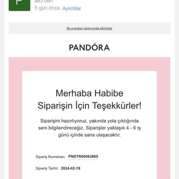 Pandora Mücevher Pandora Bileklik Kargo