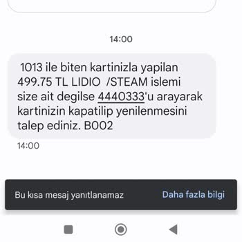 Yapılan Harcamalar Lidio Steam İle