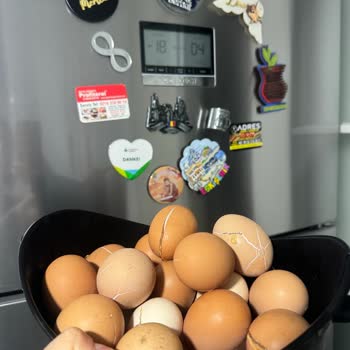 Bosch Buzdolabı Alt Kısım Donduruyor