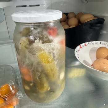 Bosch Buzdolabı Alt Kısım Donduruyor