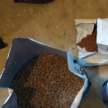 Maskotpet Yanlış Mama Ve Firmanın Duyarsızlığı