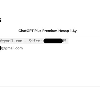 Lisansnet Chatgpt Hesabı Çok Geç Teslim Edildi Ve Yazılana Uymuyor!