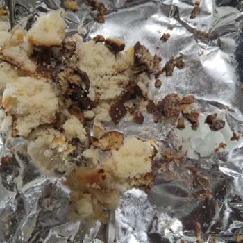 Eti Gıda Eti Pop Kekten Ölü Böcek Çıktı