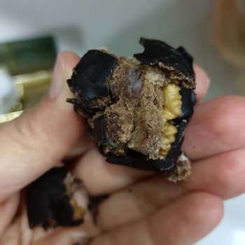 Kardelen Kestane Şekerleri Son Kullanma Tarihi Dolmamış Yeni Açılmış Kestane Şekeri Küflenmiş