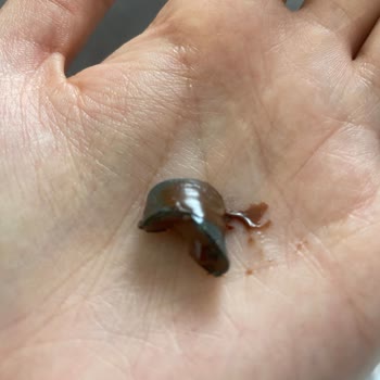 Torku Banada Çikolata 700 Gr