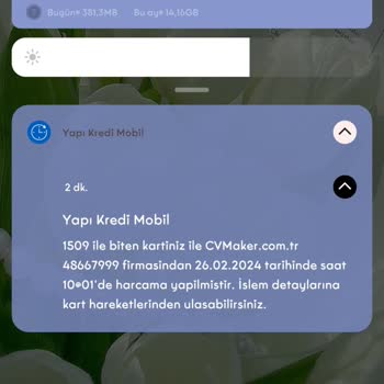 Cvmaker.com.tr Hesabımdan Para Kesimi Yapılıyor!