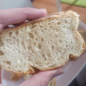 Altus Tost Makinesi Kızartmıyor