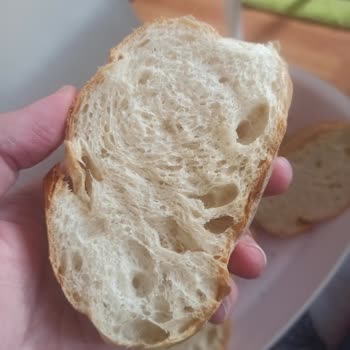 Altus Tost Makinesi Kızartmıyor