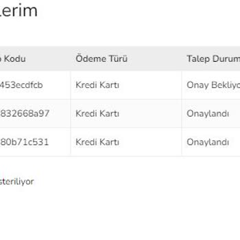 Spigen Türkiye İptal Ve İade Sürecinde Yaşanan Sorunlar