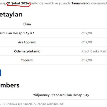 Lisansnet Lisans.net Siparişleri Teslim Etmiyor