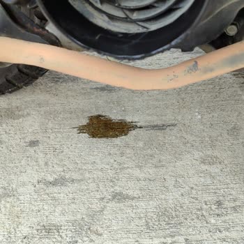 Honda Motosiklet H**** D**** Kardeşlerin Hatasını Kabul Etmemesi