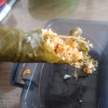 Dilim Börek Kötü Sarma Hakkında