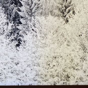 Samsung Frame Ekran Sarardı Ve Değişim Yapmıyor