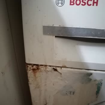 Bosch Beyaz Eşya Hayal Kırıklığı: Pas Ve Yıkama Sorunları