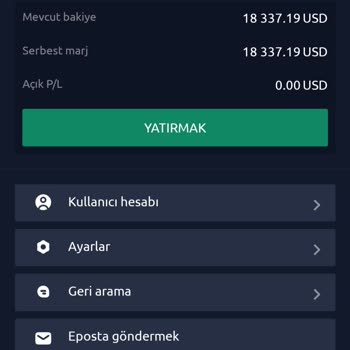Güven Sorunu: Skype Ve Valet Deneyimim