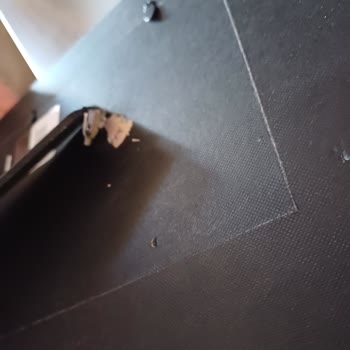 Biev Karşımızda Bir Muhatap Yok