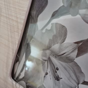 Biev Karşımızda Bir Muhatap Yok