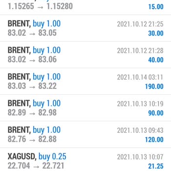 Durch den Betrug von Index FX habe ich Verluste erlitten