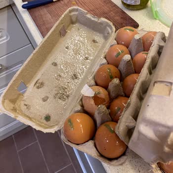 Tazedirekt Yumurta Fiyaskosu: Kırık Ve Akıntılı Teslimat Deneyimi