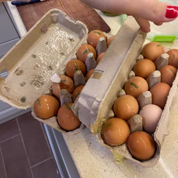 Tazedirekt Yumurta Fiyaskosu: Kırık Ve Akıntılı Teslimat Deneyimi