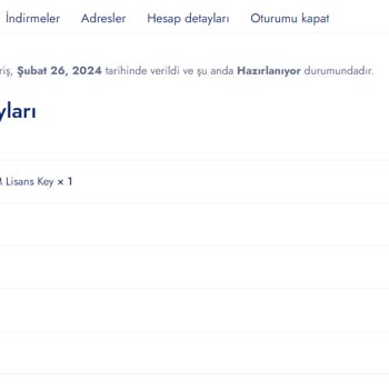Jetlisans Windows 11 Pro OEM Lisans Anahtarı Gönderilmiyor