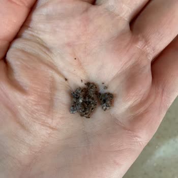 Nescafe Gold Kahvede Pamuklama Var