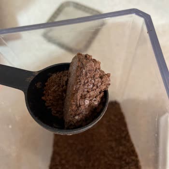 Nescafe Gold Kahvede Pamuklama Var