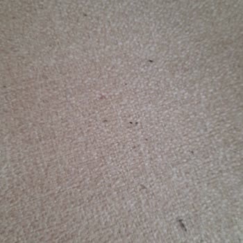 Mondi Oturma Kumaş Şikayeti