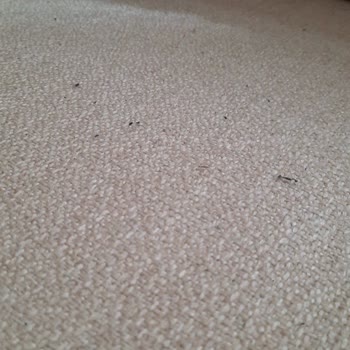 Mondi Oturma Kumaş Şikayeti