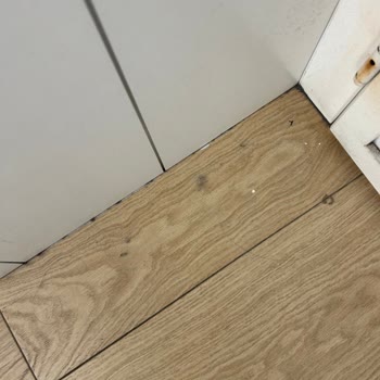 Mavi Yalova Mavi Mağazası Kirli
